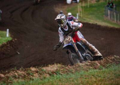 Redbud 2025 8 2